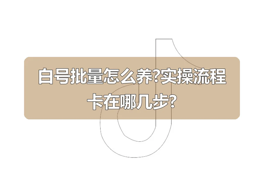 白号批量怎么养?实操流程卡在哪几步?